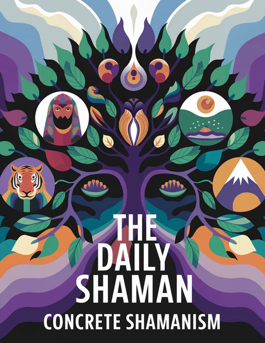 The Daily Shaman E-book Version
