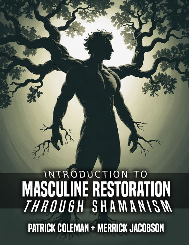 Introduction To Masculine Restoration eBook
