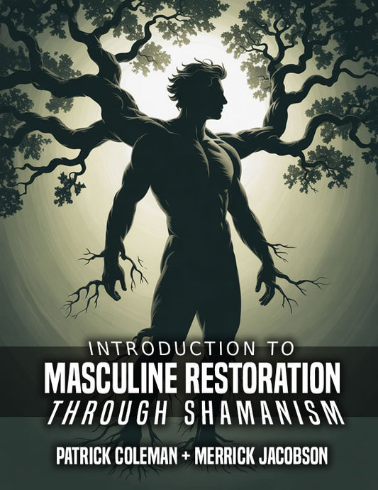 Introduction To Masculine Restoration eBook